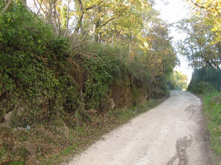 Una strada di campagna