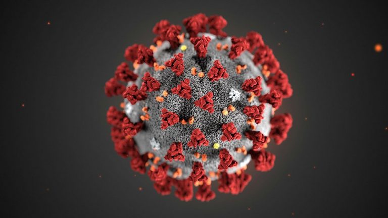 Decreto corona virus e giustizia.