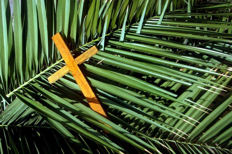 Domenica delle palme
