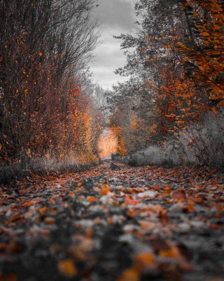 Se il comune dice che una strada è vicinale.