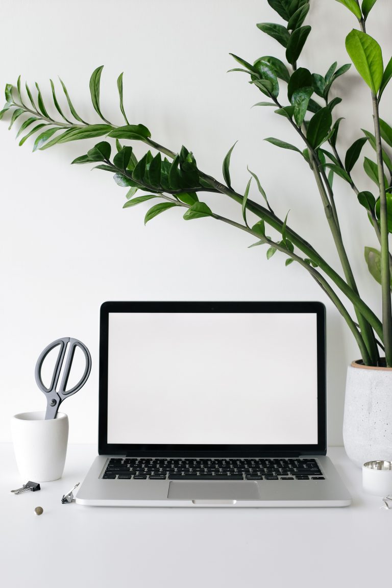Appuntamenti a video con zoom: registrazione delle sessioni.