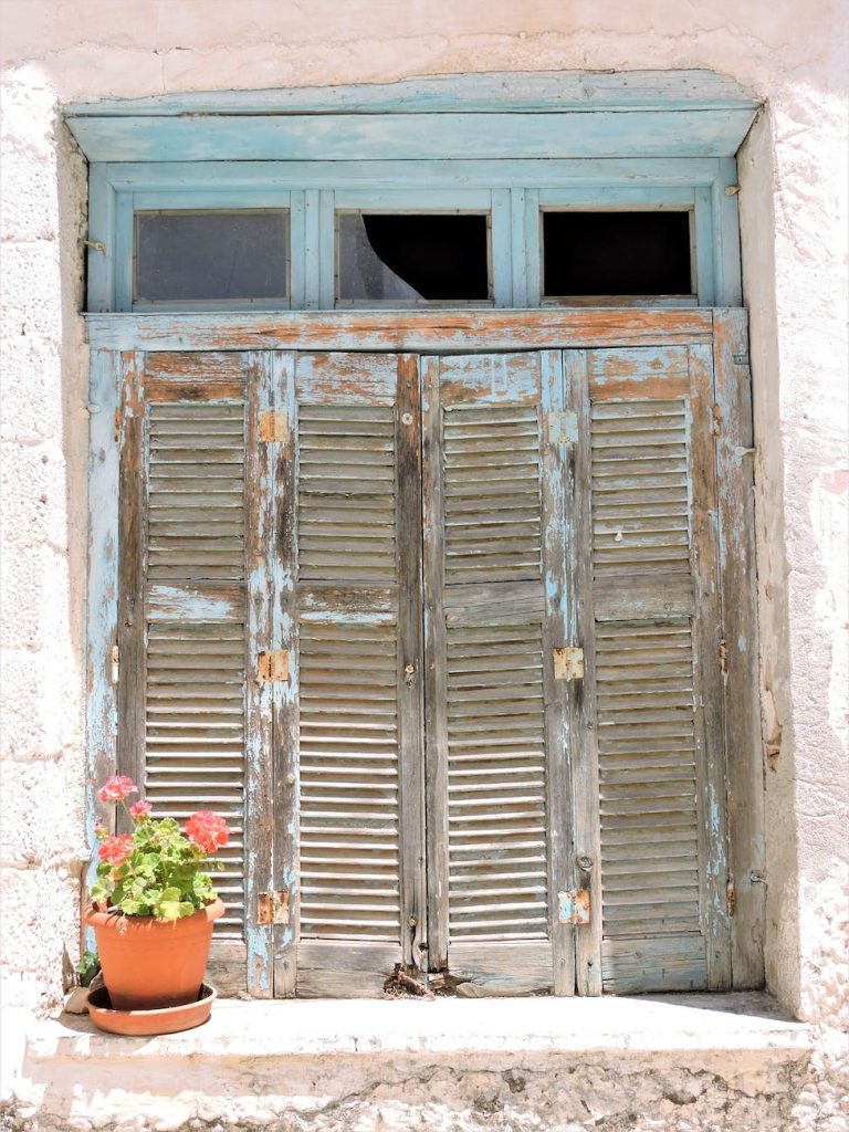 plant in pot on old window with shutters