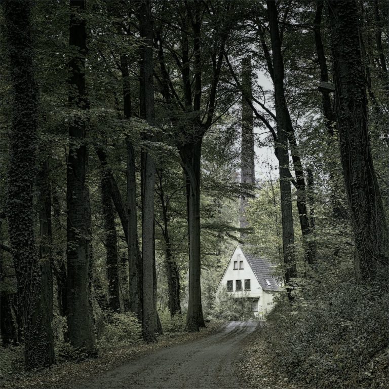 photo of a house surrounded by tall trees