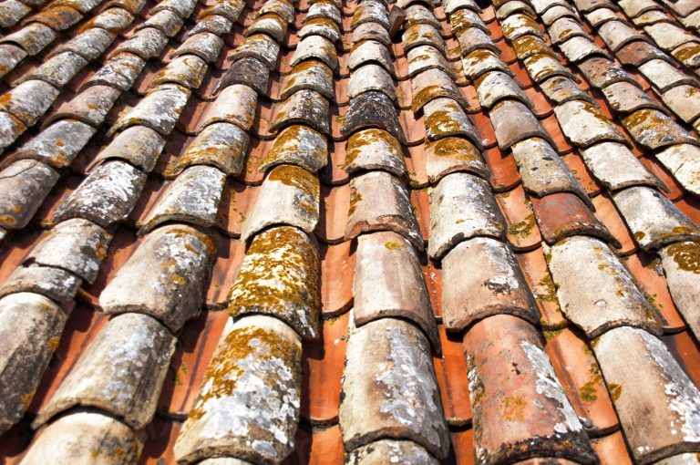 Clay roof tiles