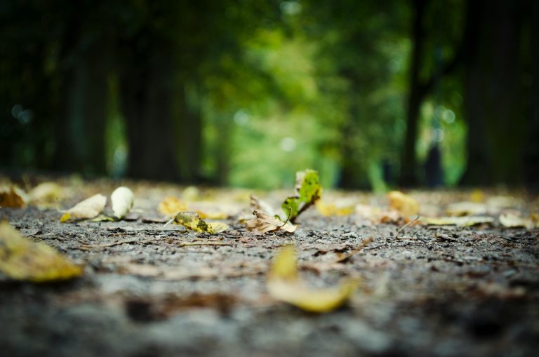 I miei vicini vogliono usucapire il cortile: cosa posso fare?